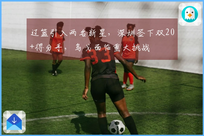 辽篮引入两名新星，深圳签下双20+得分手，乌戈面临重大挑战
